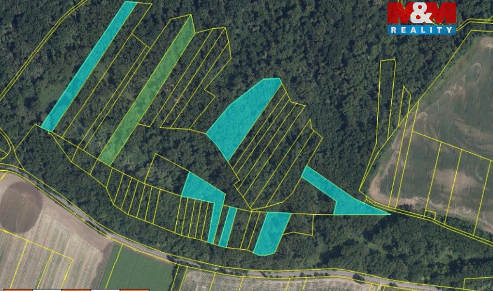 Prodej lesa 70 048 m², Přerov nad Labem – náhled fotky 8