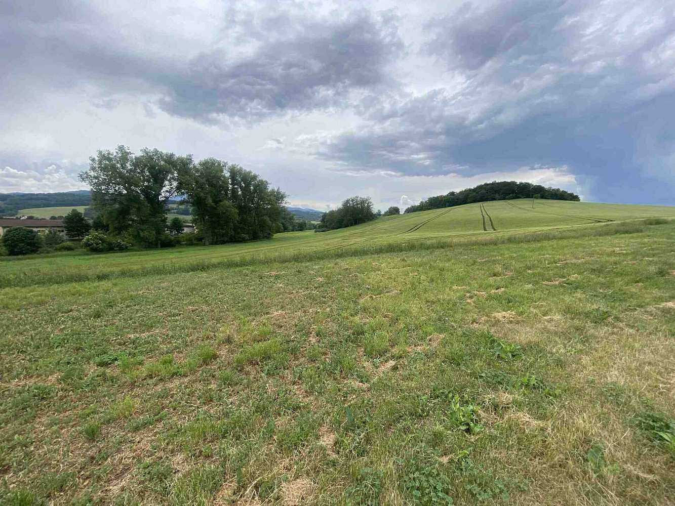 Prodej pozemku 1 561 m² – fotografie 2