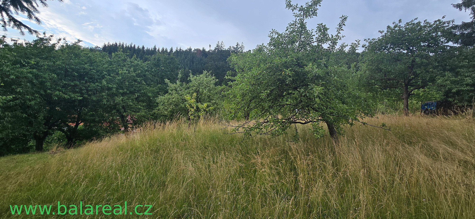 Fotka 16 z 30