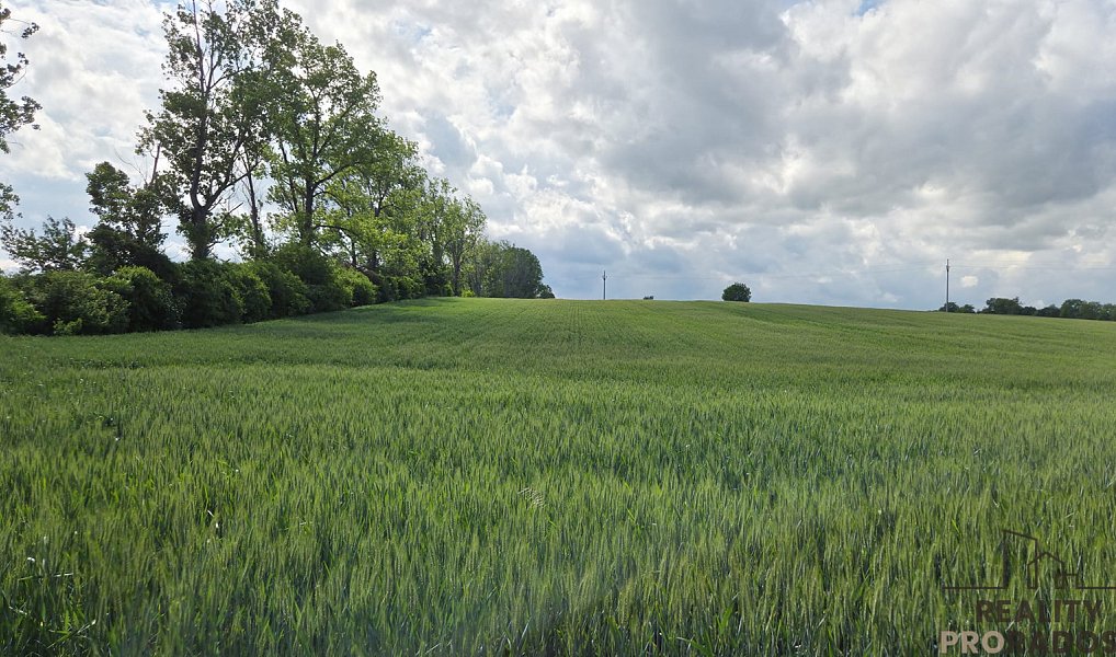 Prodej pole 2 649 m², Kyjov – náhled fotky 3