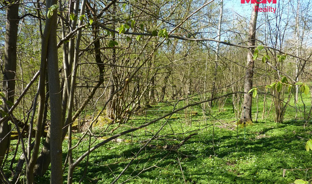 Prodej stavebního pozemku 1 453 m², Brzice – náhled fotky 3