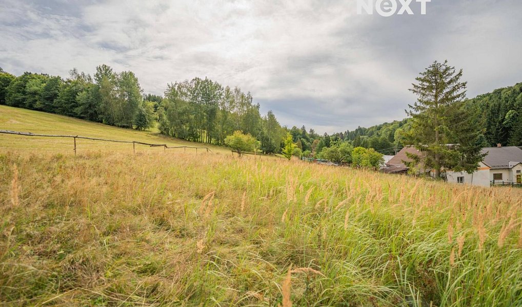 Prodej domu 145 m² s pozemkem 3 257 m², Oskava – náhled fotky 19
