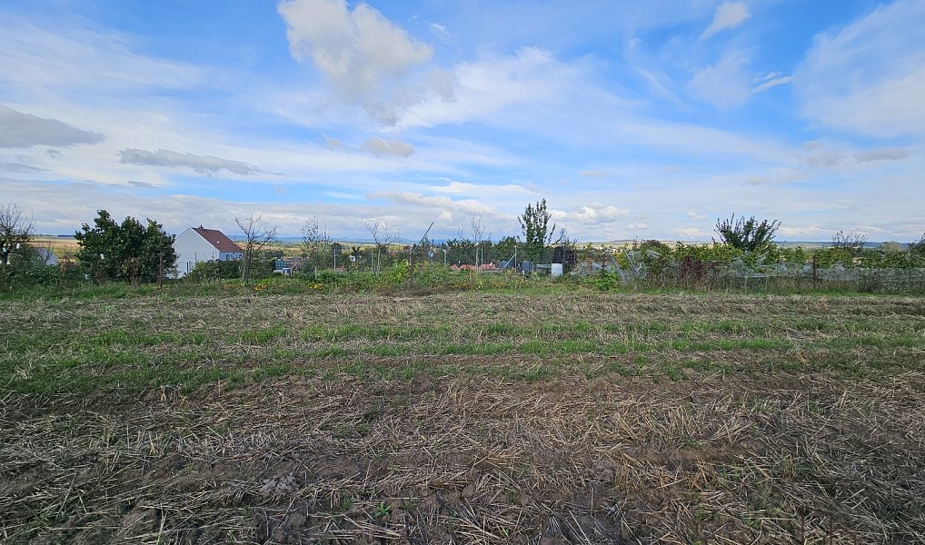 Prodej stavebního pozemku 2 691 m², Skoronice – náhled fotky 8