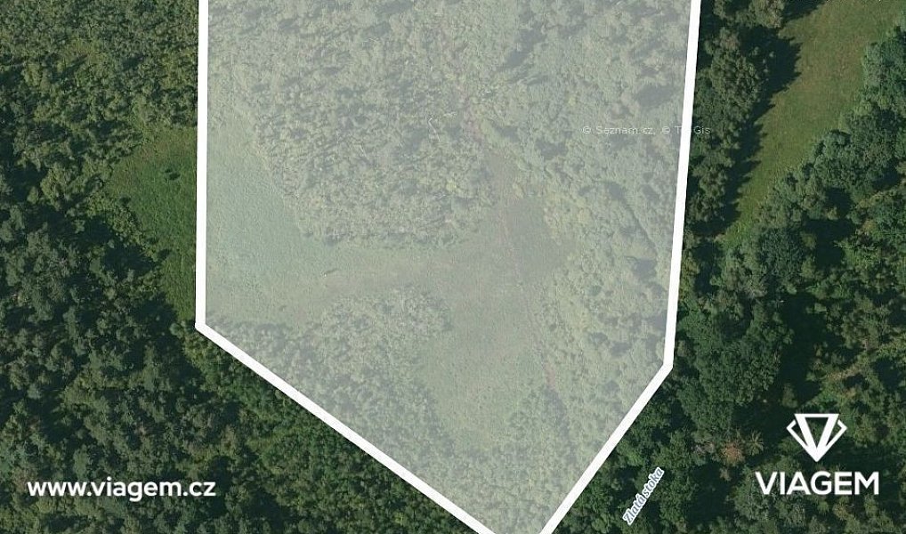 Prodej lesa 20 552 m², Veselí nad Lužnicí – náhled fotky 2