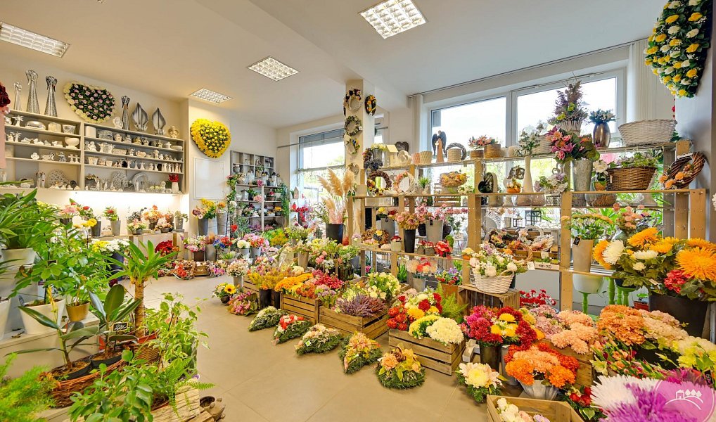 Prodej obchodních prostor 140 m², Olomouc – náhled fotky 3