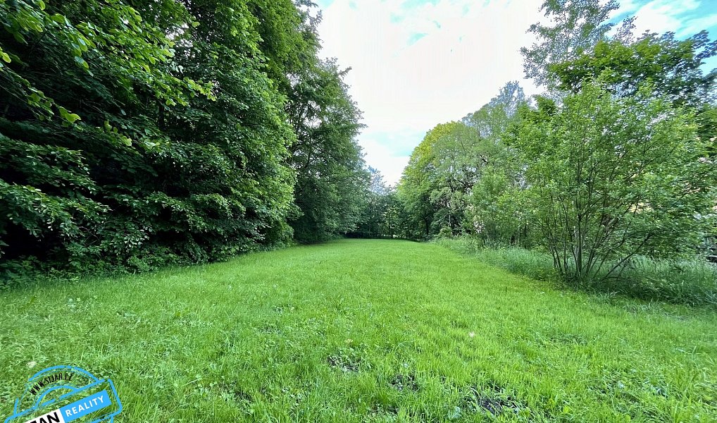 Prodej chaty/chalupy 510 m² s pozemkem 2 399 m², Ludvíkov – náhled fotky 14