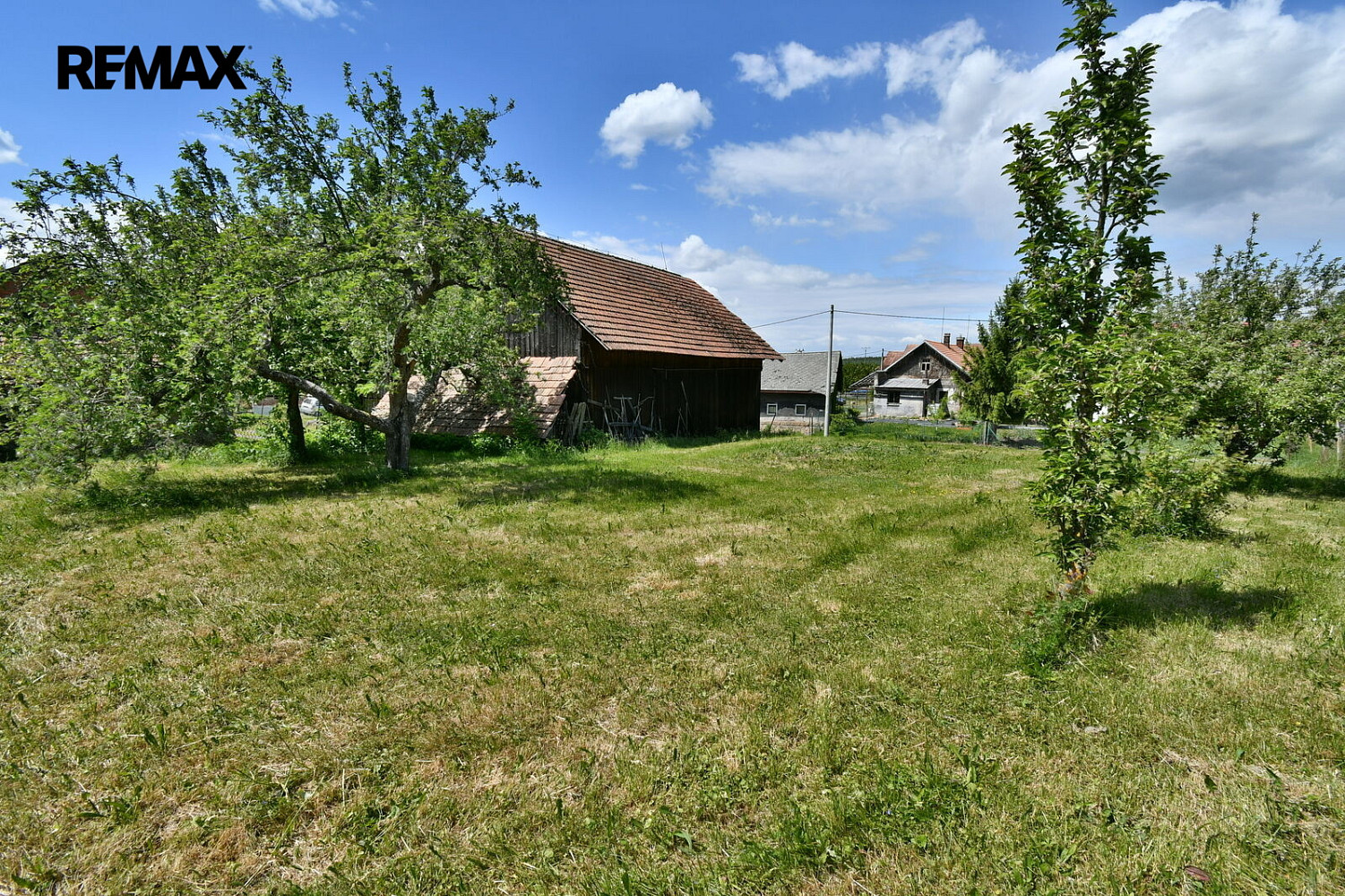 Fotka 15 z 18