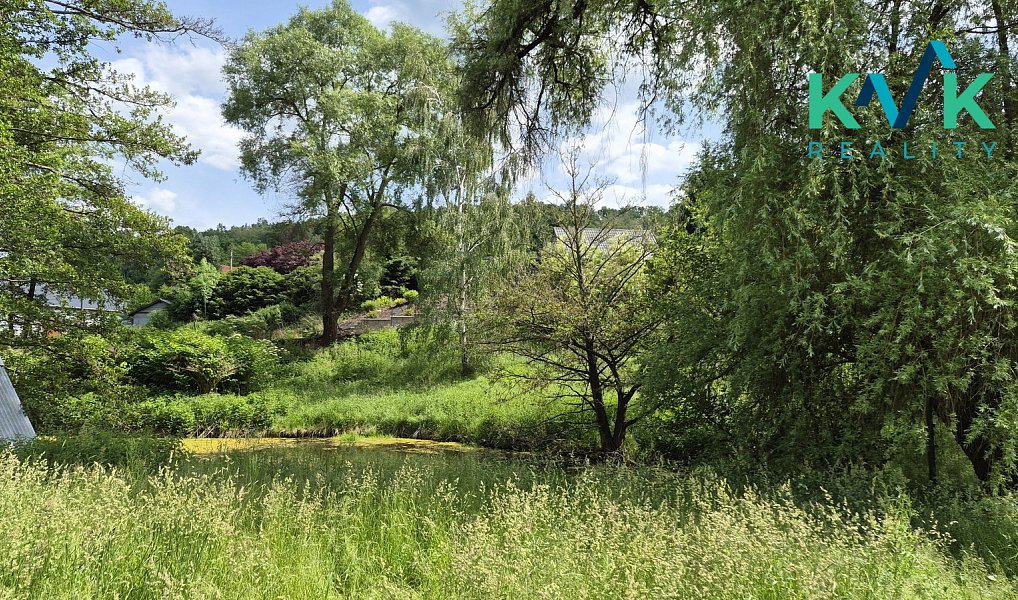 Pronájem zahrady 3 000 m², Sadov – náhled fotky 6