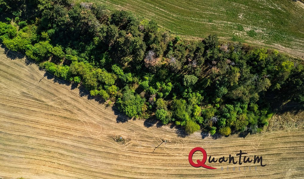 Prodej stavebního pozemku 16 339 m², Brandýsek – náhled fotky 22