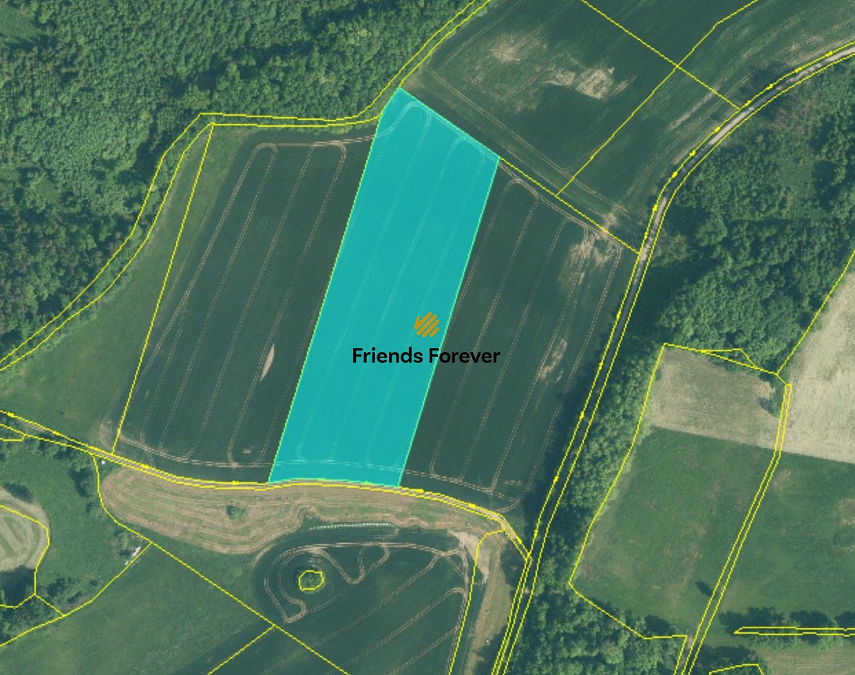 Prodej pole 4 149 m²
