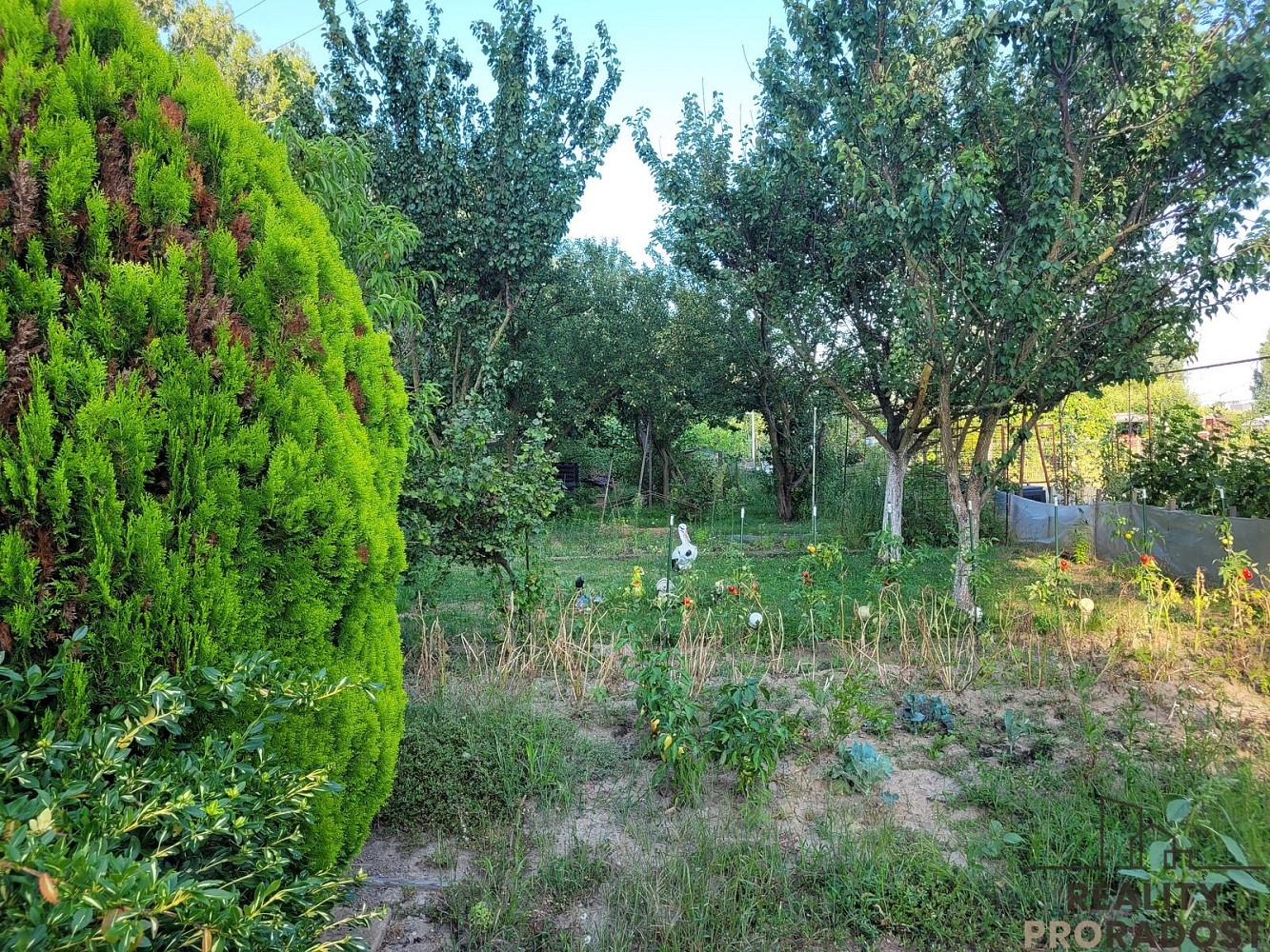 Prodej zahrady 200 m² – fotografie 3