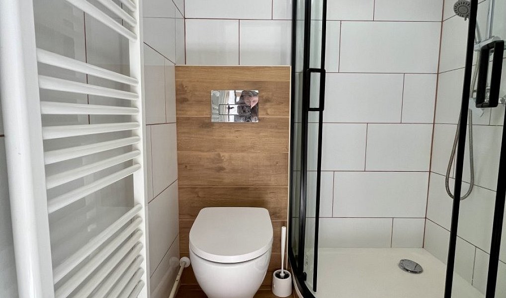 Pronájem bytu 1+1 28 m², Ostrava – náhled fotky 6