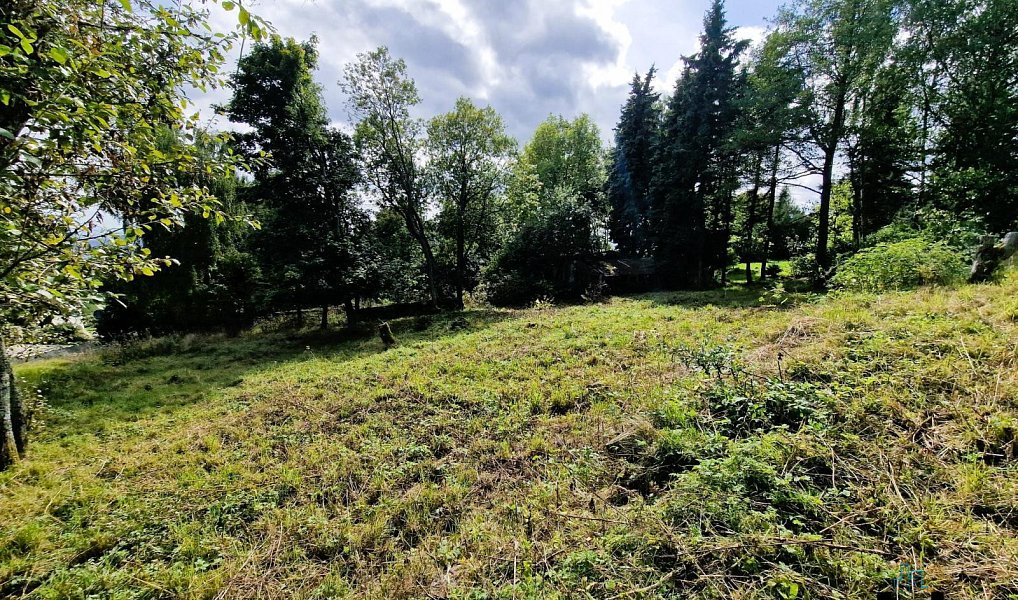 Prodej stavebního pozemku 926 m², Osek – náhled fotky 4