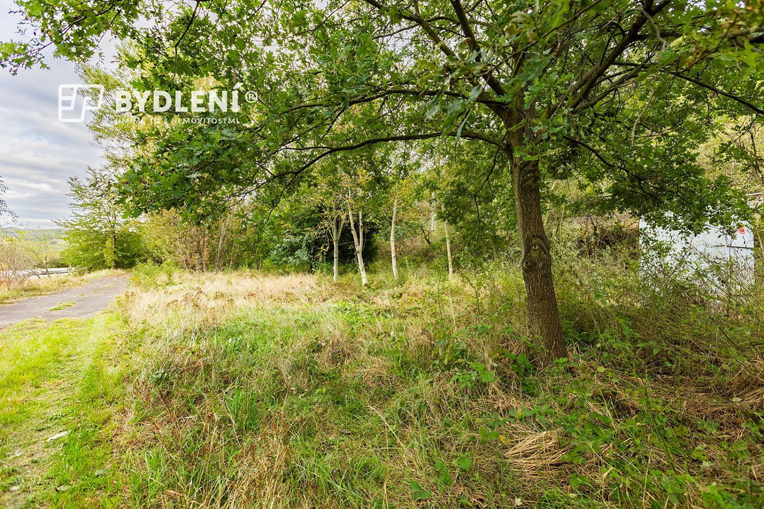 Prodej zahrady 1 568 m² – fotografie 4