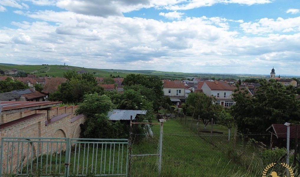 Prodej zahrady 360 m², Velké Pavlovice – náhled fotky 3