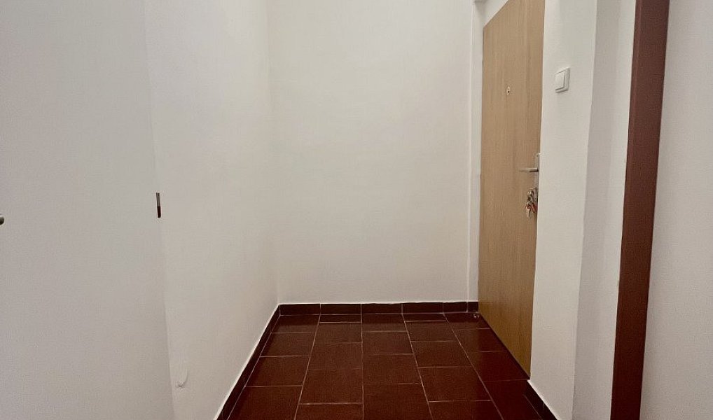 Pronájem bytu 1+1 50 m², Ostrava – náhled fotky 9