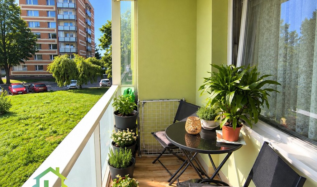 Prodej bytu 2+kk 43 m², Hořice – náhled fotky 7