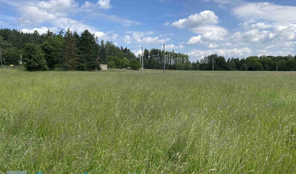 Prodej stavebního pozemku 1 400 m², Planá – náhled fotky 5