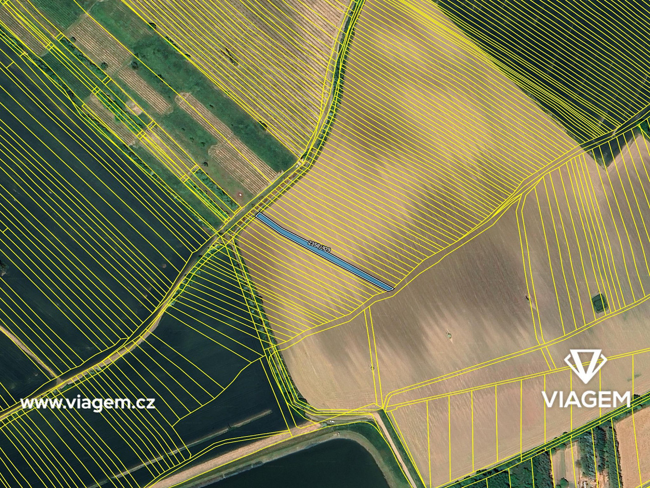 Prodej pole 877 m² – fotografie 4