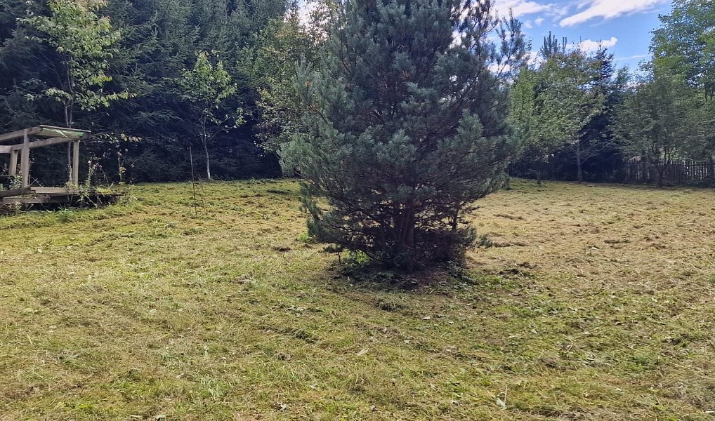 Prodej stavebního pozemku 1 832 m², Zbraslavice – náhled fotky 6