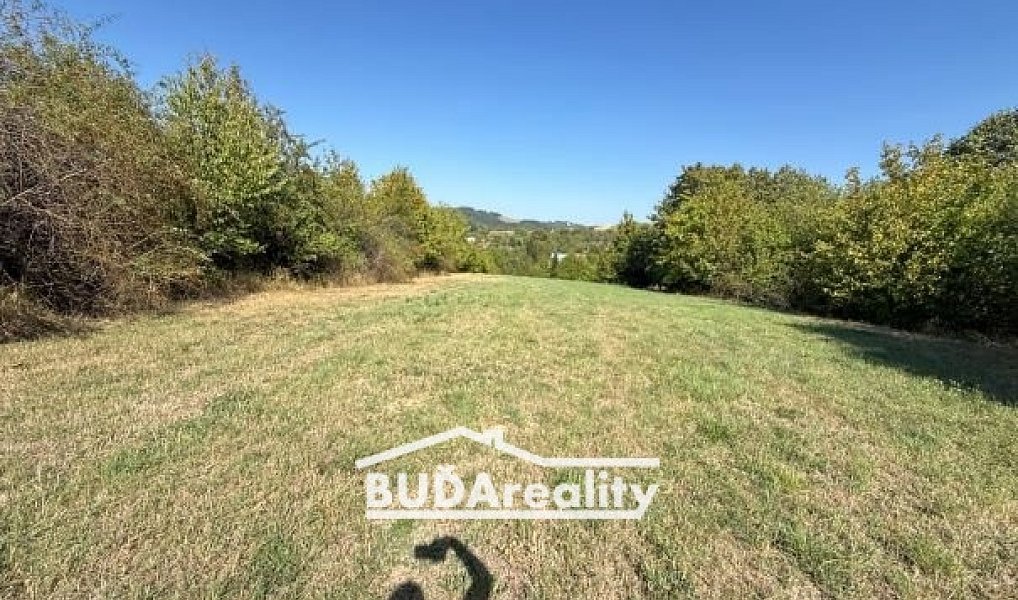 Prodej louky 3 374 m², Bratřejov – náhled fotky 3