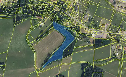 Prodej lesa 9 121 m², Bukovina u Čisté - Dražeň