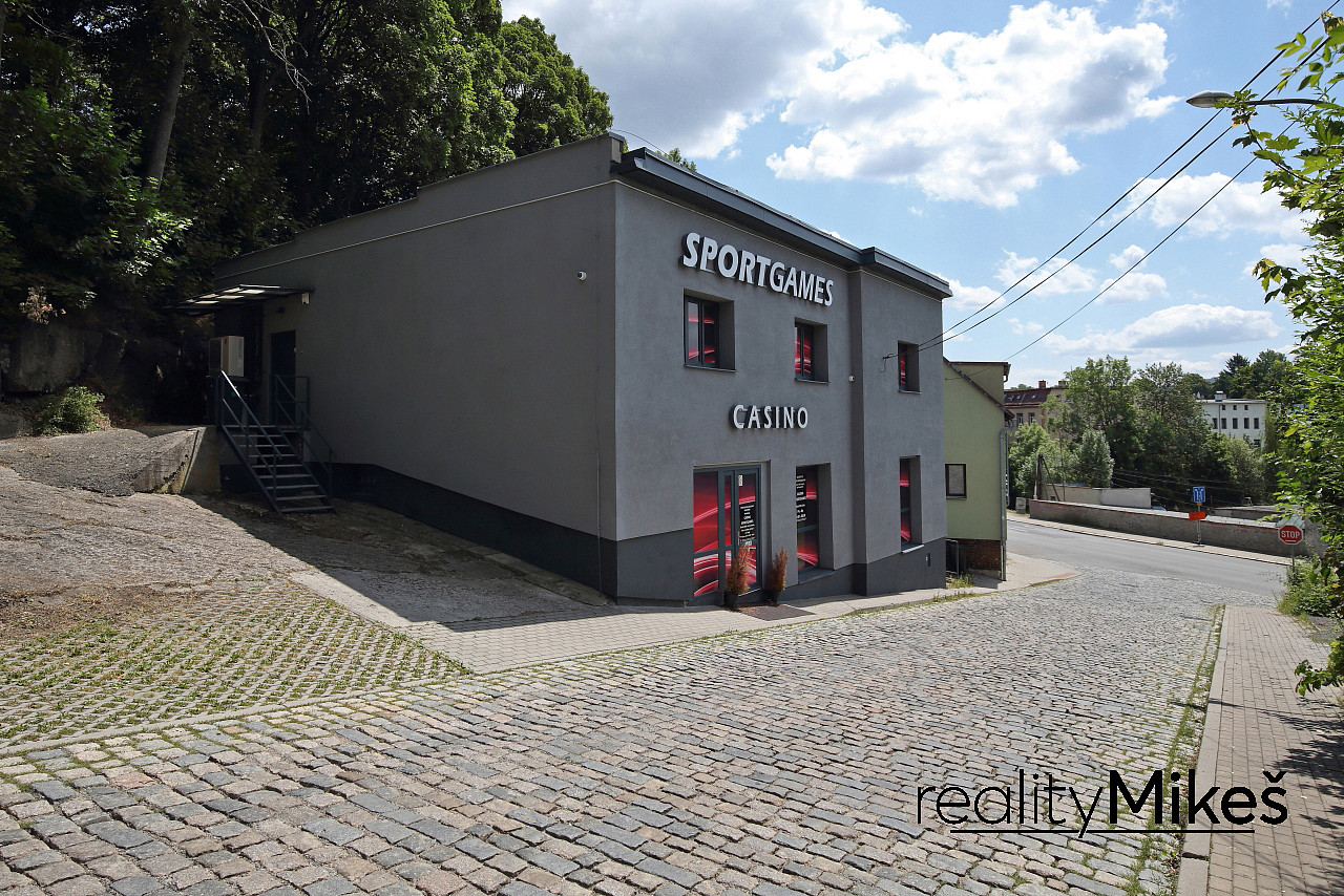 Pronájem obchodních prostor 351 m² - Widok 4