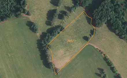 Dražba louky 11 266 m², Bernartice