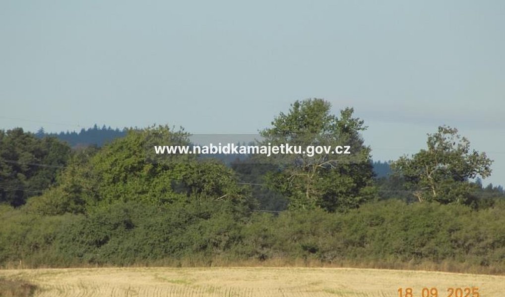 Prodej pozemku 3 866 m², Bor – náhled fotky 3