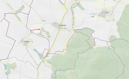 Dražba lesa 529 m², Chotěbudice