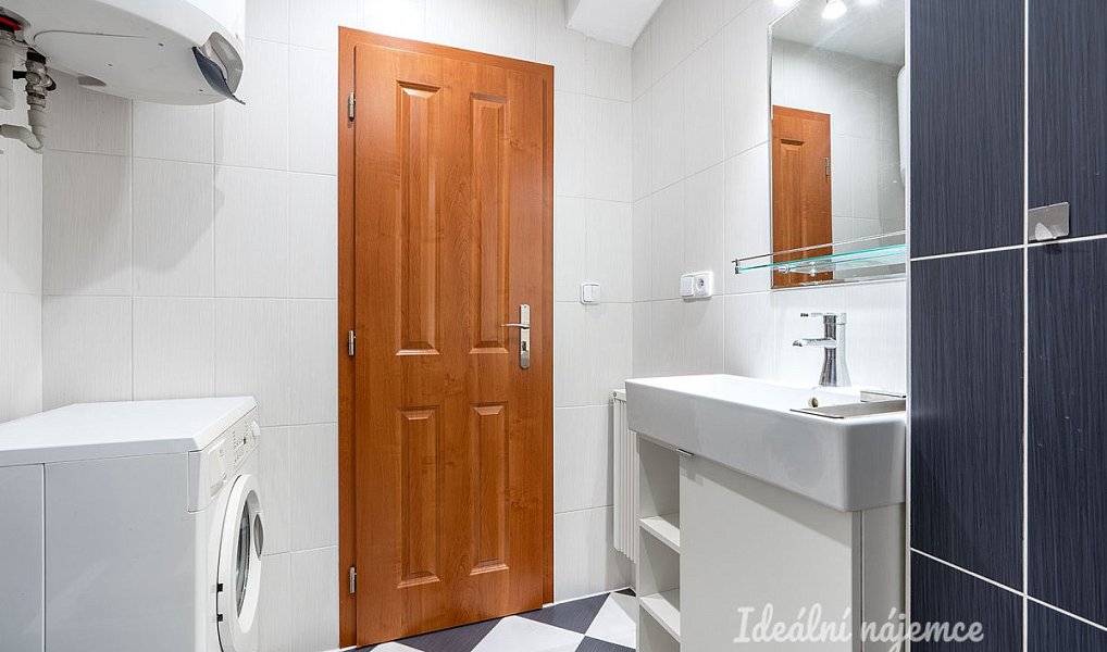 Pronájem bytu 1+1 43 m², Praha – náhled fotky 4