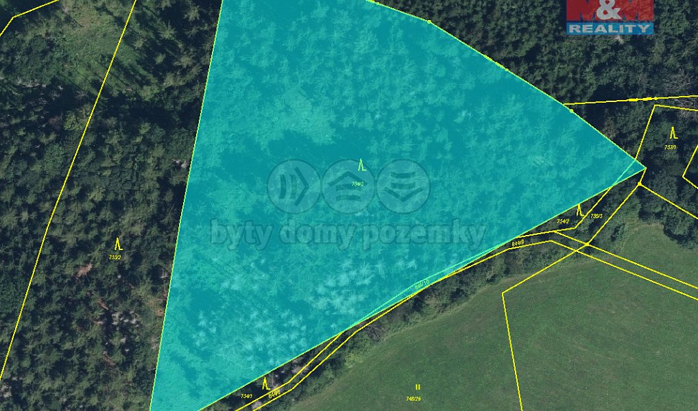 Prodej lesa 15 253 m², Libuň – náhled fotky 3