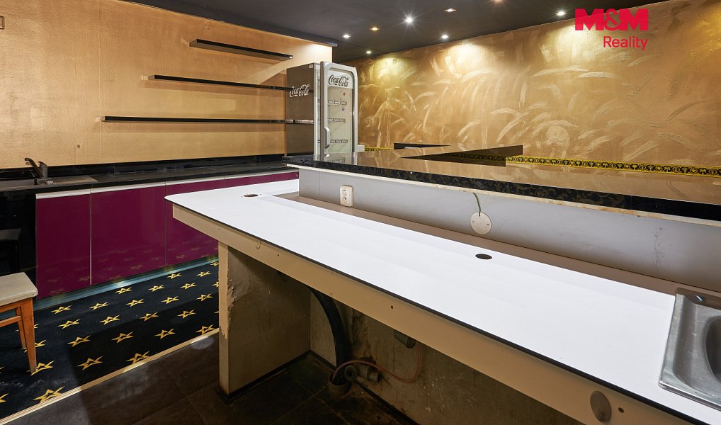 Pronájem obchodních prostor 205 m², Uherský Brod – náhled fotky 10