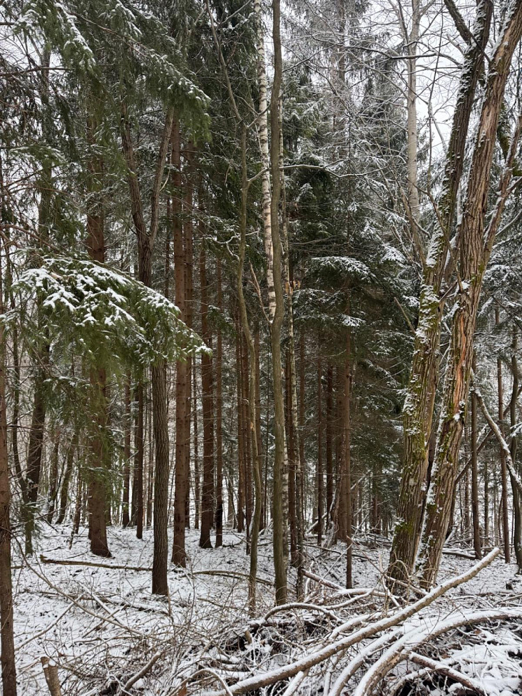 Fotka 7 z 25
