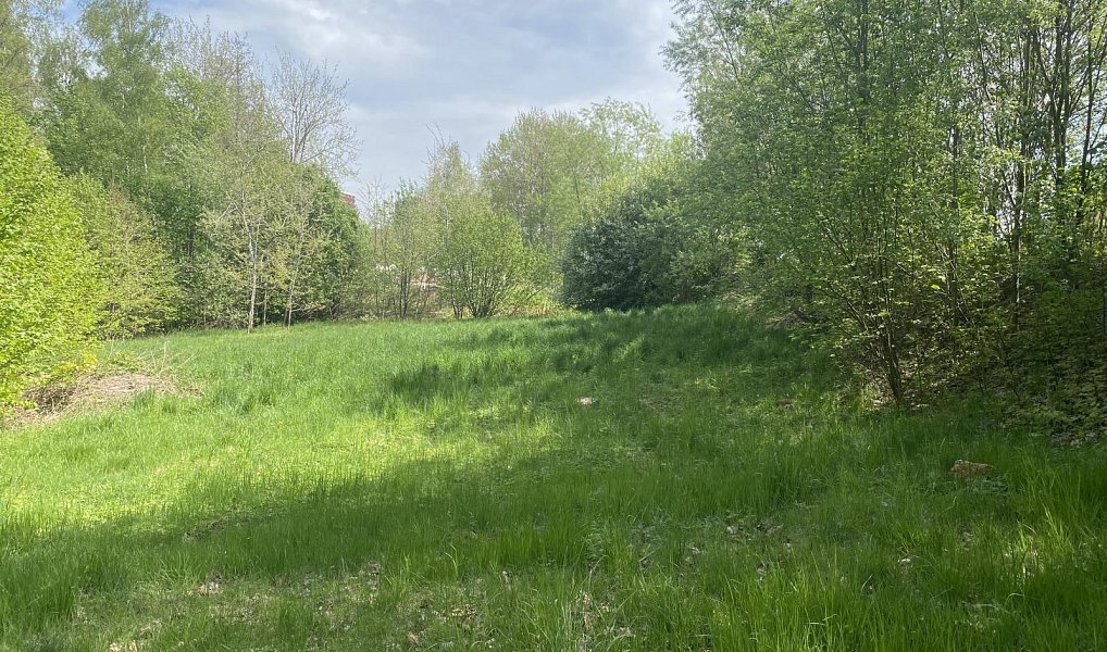 Prodej komerčního pozemku 2 866 m², Liberec – náhled fotky 6