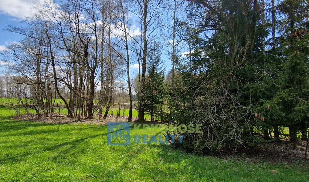 Prodej pozemku 2 788 m², Černý Důl – náhled fotky 6