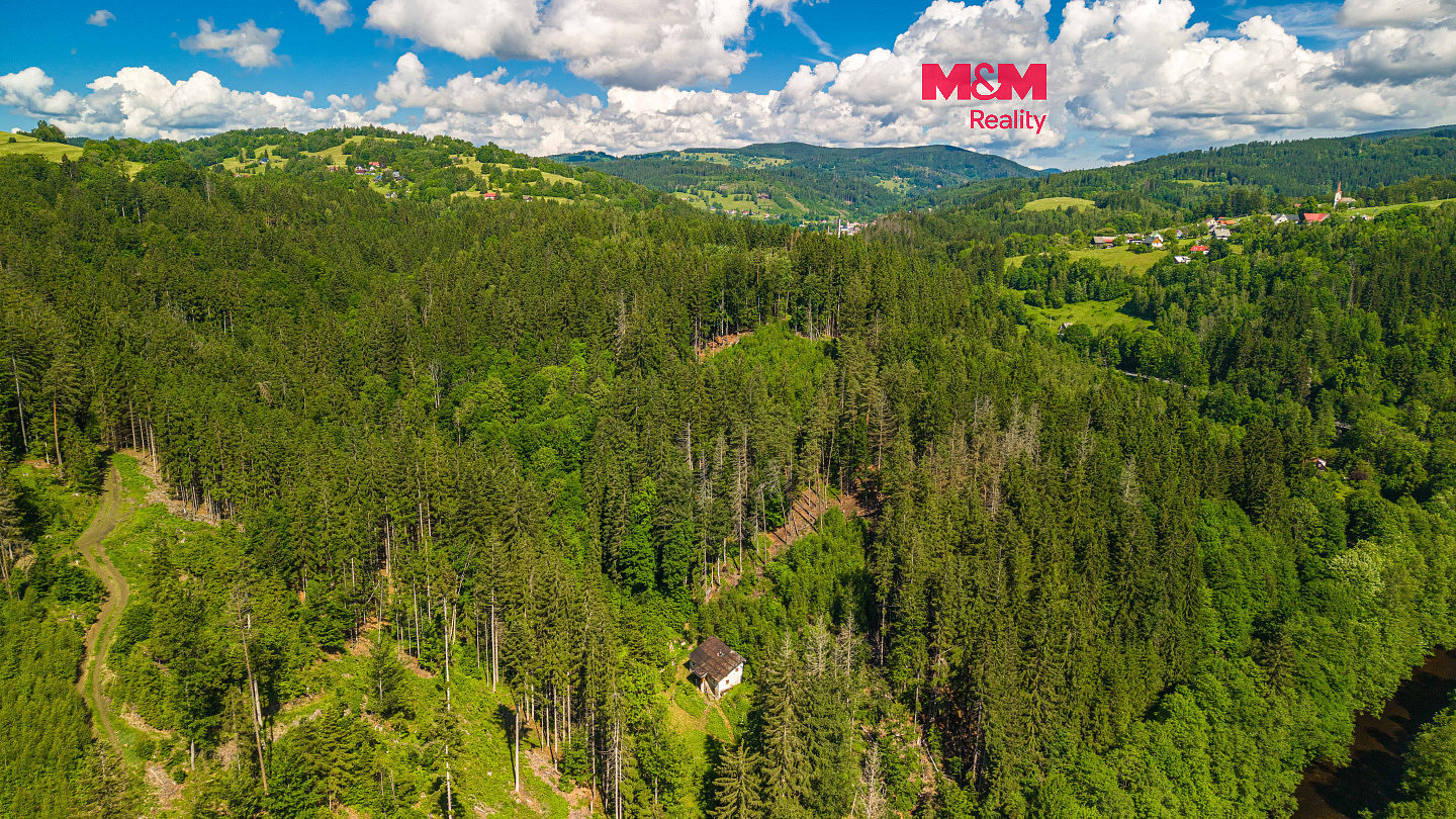 Prodej lesa 18 052 m²