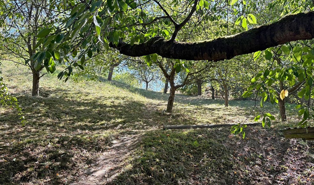 Prodej chaty/chalupy 64 m² s pozemkem 1 470 m², Jaroměřice – náhled fotky 25