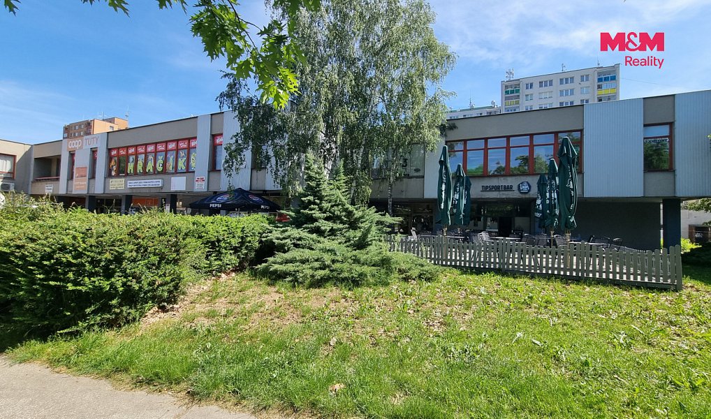 Pronájem skladovacích prostor 9 m², Orlová – náhled fotky 3