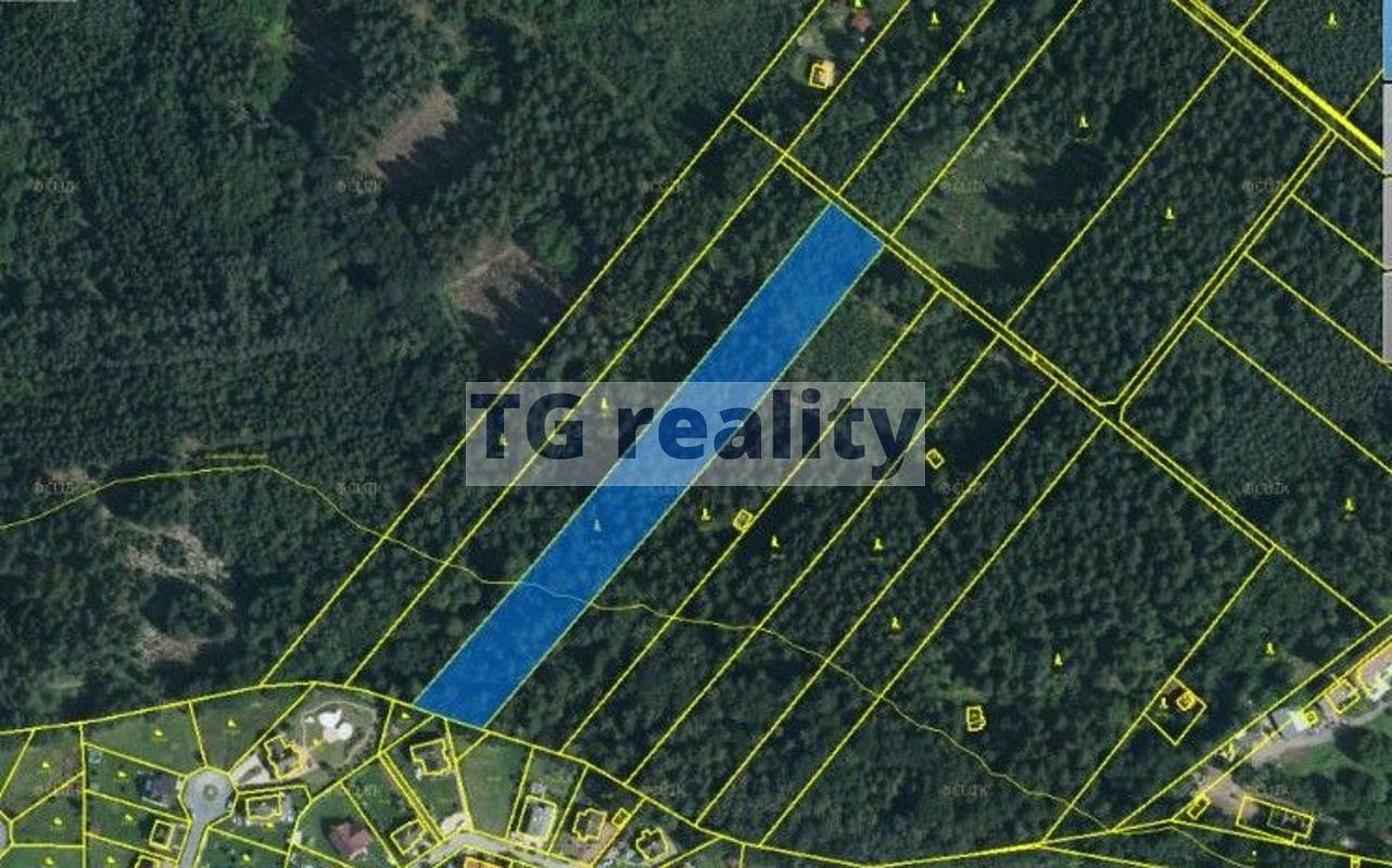 Prodej lesa 8 867 m²