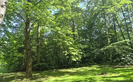Prodej komerčního pozemku 1 080 m², Mohylová, Plzeň