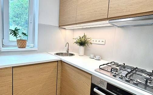 Pronájem bytu 3+1 62 m², Hornická, Meziboří, okres Most