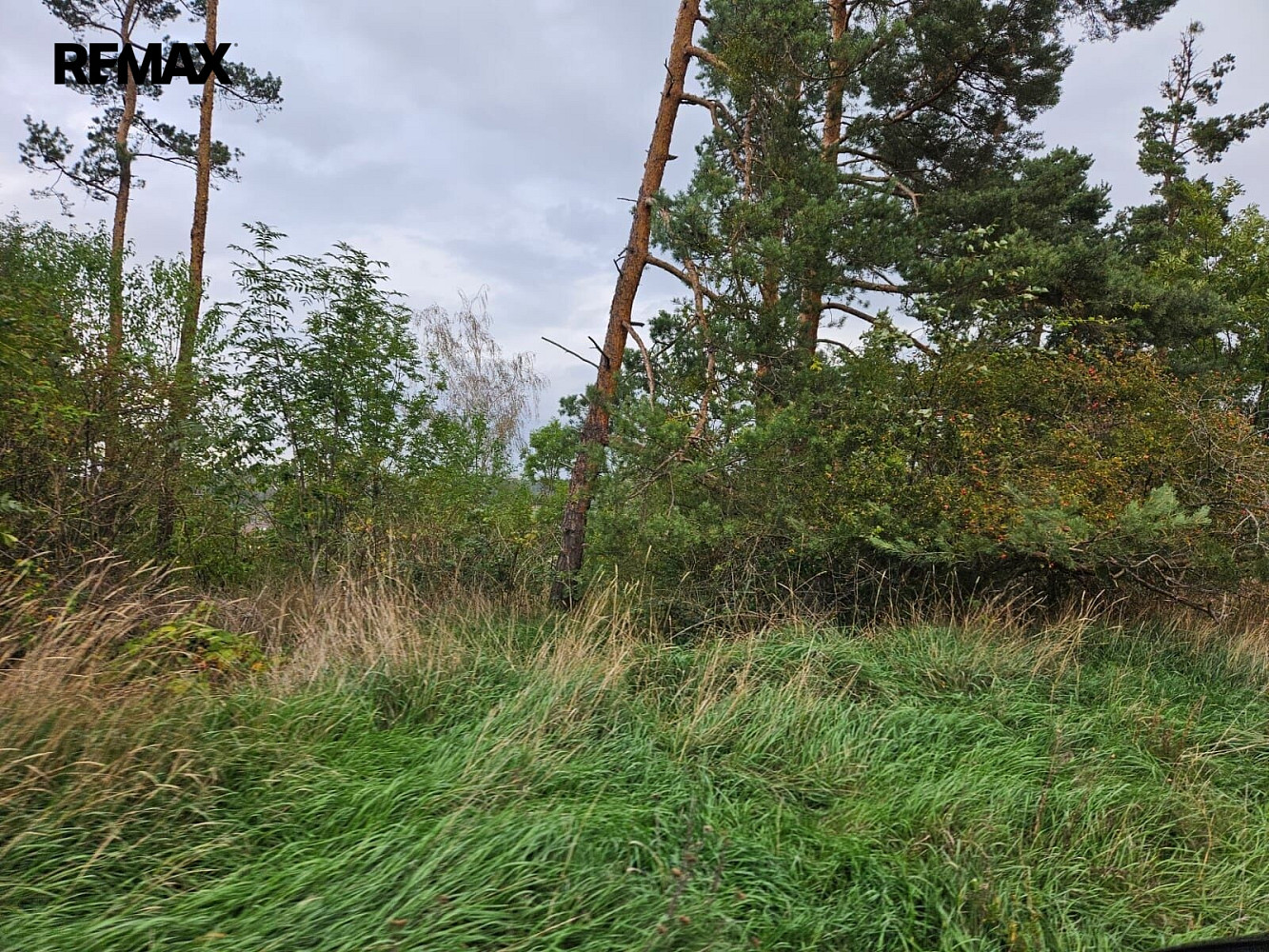 Fotka 10 z 10