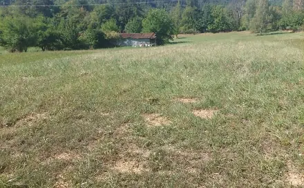 Prodej zahrady 3 220 m², Stražisko, okres Prostějov