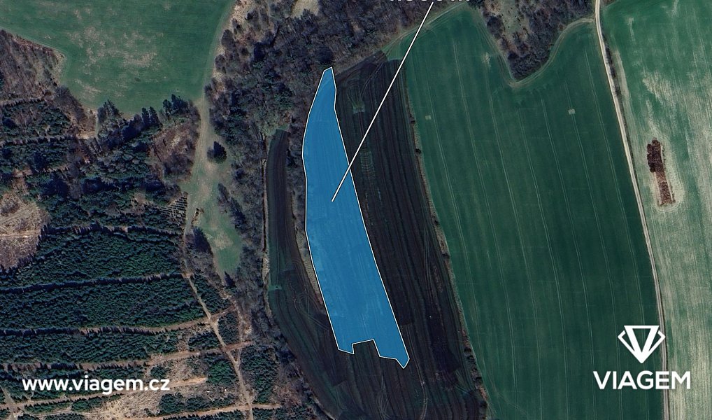 Prodej pole 4 216 m², Žďárná – náhled fotky 2