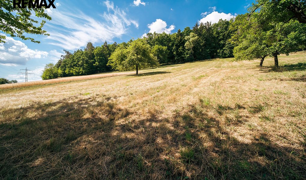 Prodej domu 124 m² s pozemkem 4 419 m², Lomnice – náhled fotky 47