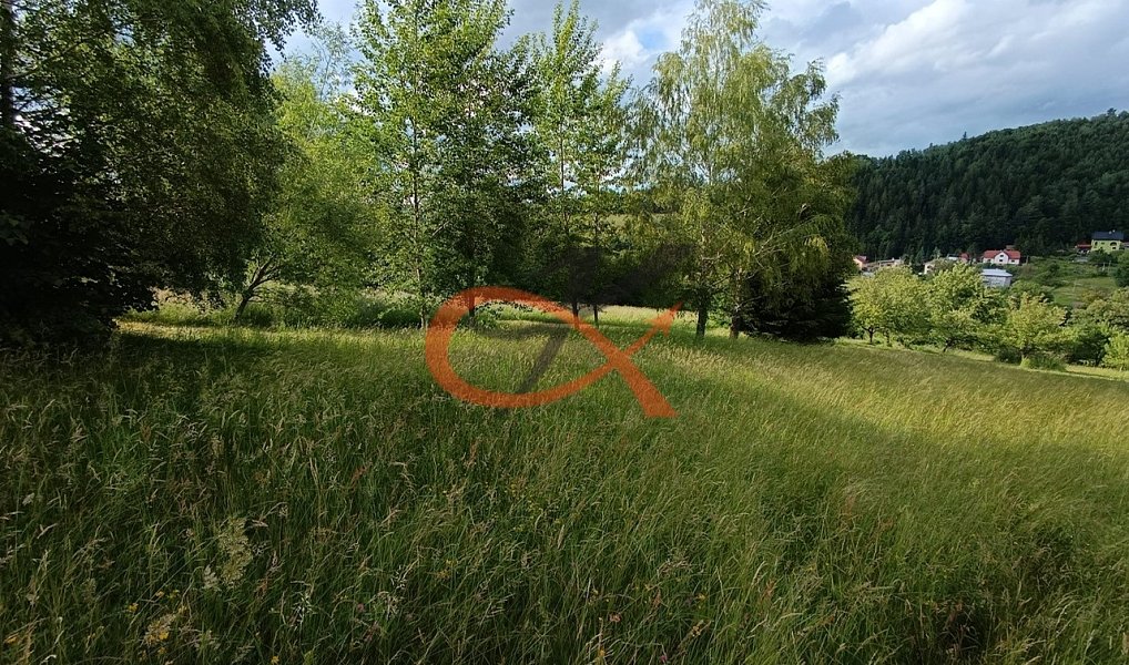 Prodej stavebního pozemku 700 m², Valašská Bystřice – náhled fotky 5