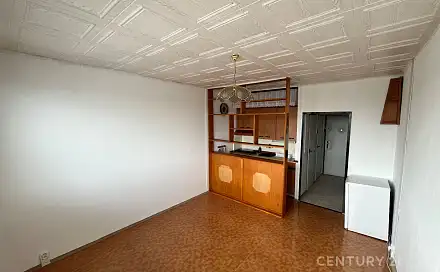 Pronájem bytu 1+kk 26 m²