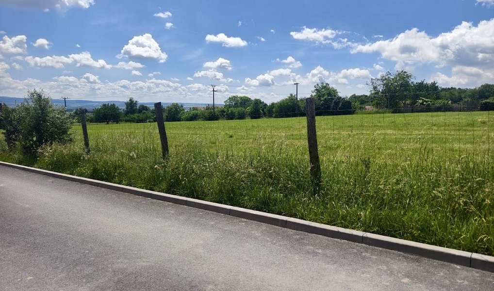 Prodej stavebního pozemku 867 m², Radslavice – náhled fotky 9
