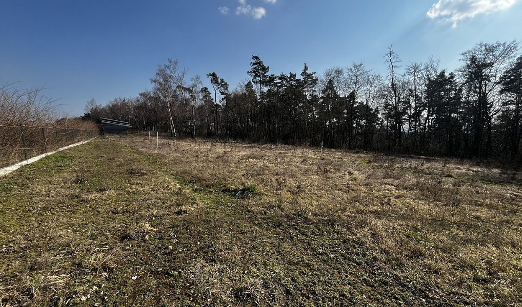 Prodej domu 100 m² s pozemkem 4 357 m², Snědovice – náhled fotky 14